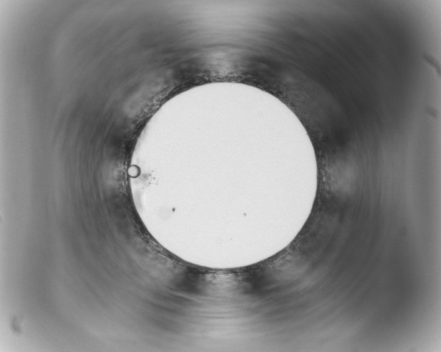 X0000103500419200810101051