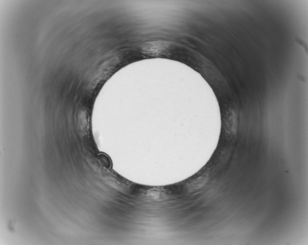 X0000103500420200810101051