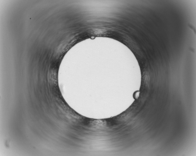 X0000103500421200810101051