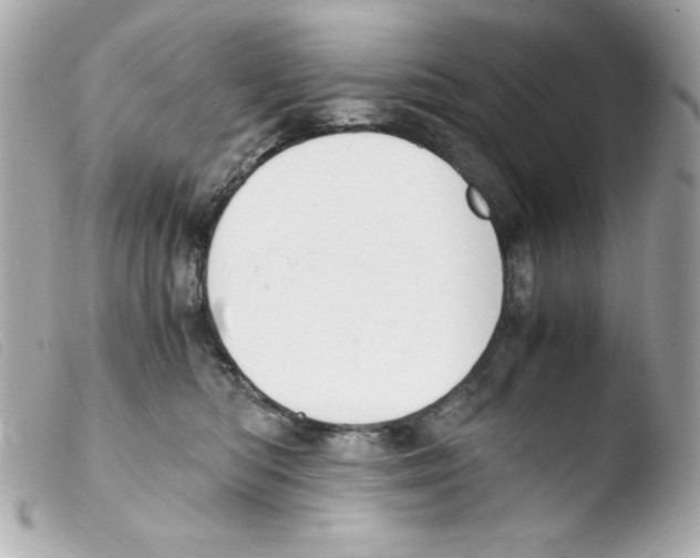 X0000103500422200810101051