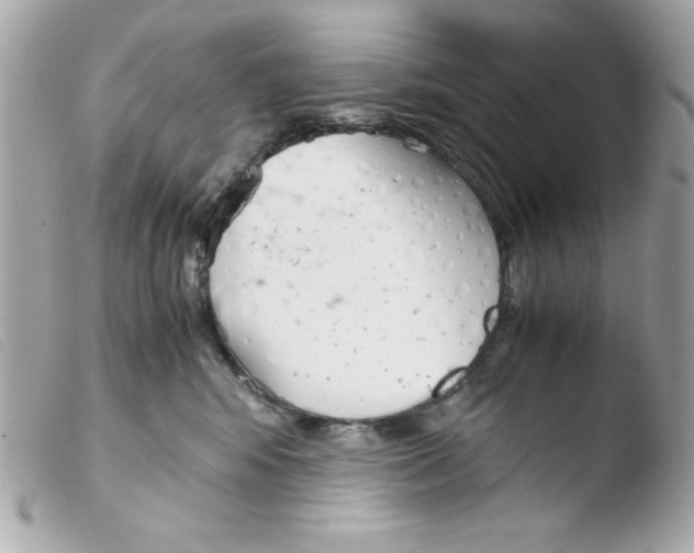 X0000103500424200810101050