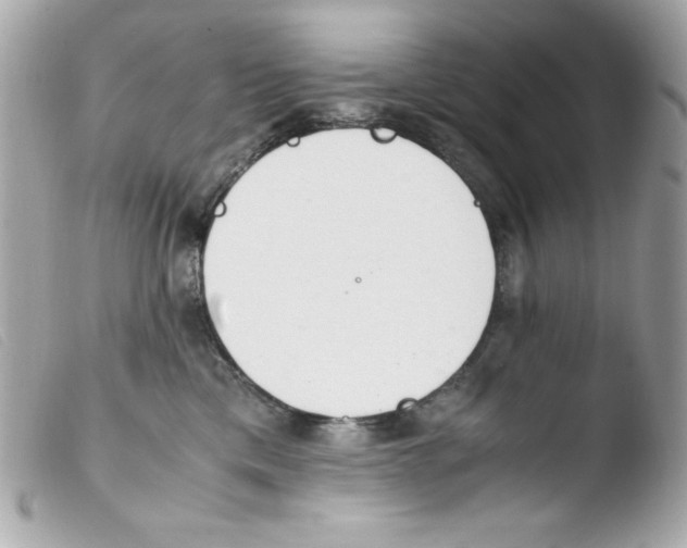 X0000103500425200810101050