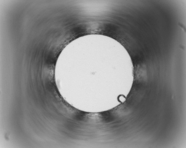 X0000103500427200810101050