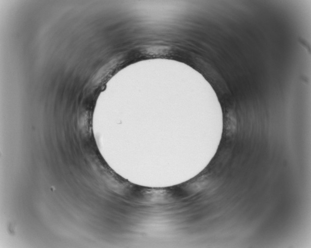 X0000103500428200810101050