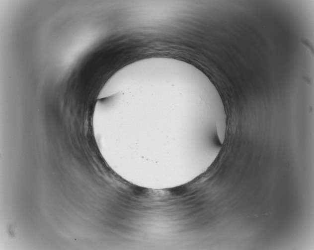 X0000103500429200810101050