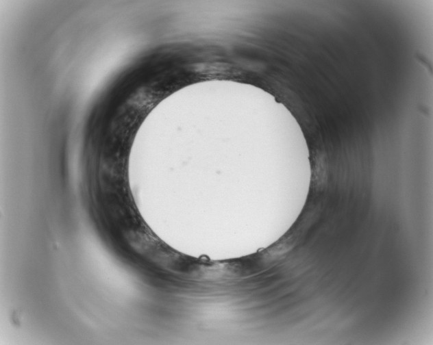 X0000103500430200810101050