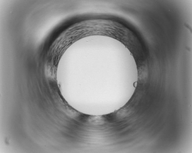 X0000103500431200810101050