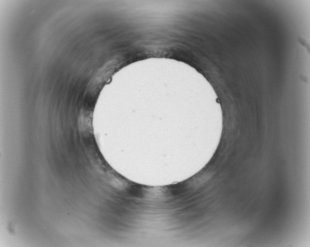 X0000103500432200810101050