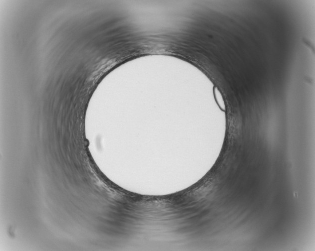 X0000103500433200810101050