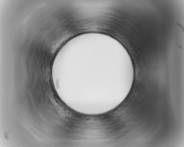 X0000103500434200810101050