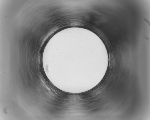 X0000103500435200810101050