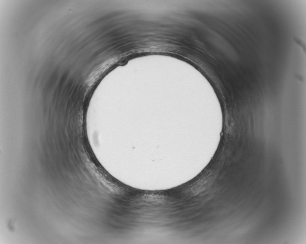 X0000103500437200810101050