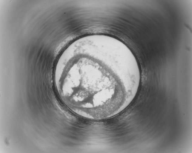 X0000103500438200810101050