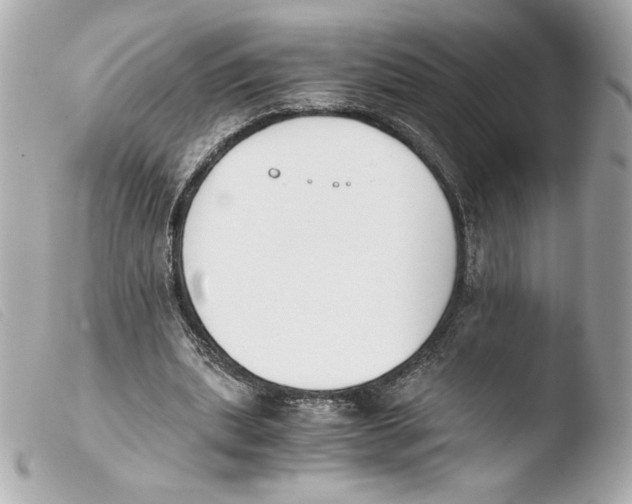 X0000103500439200810101050