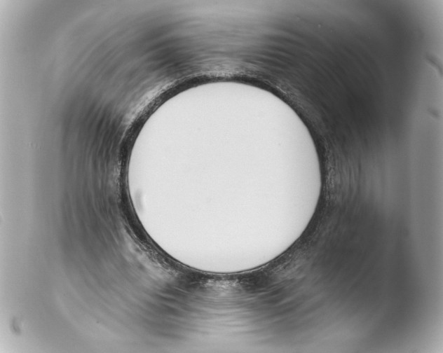 X0000103500440200810101050