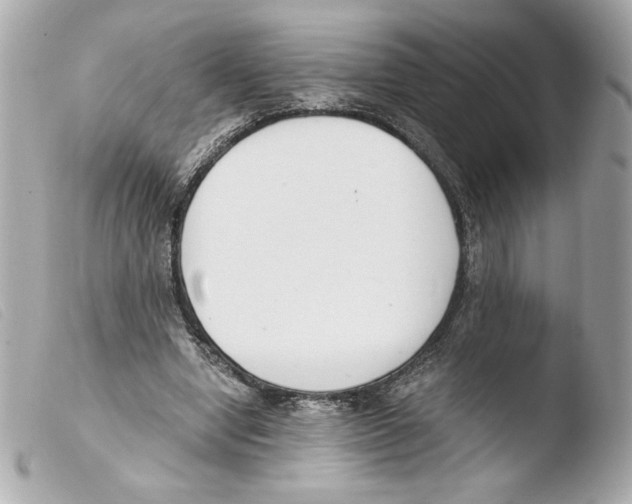 X0000103500442200810101050