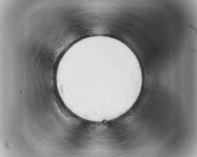 X0000103500443200810101050