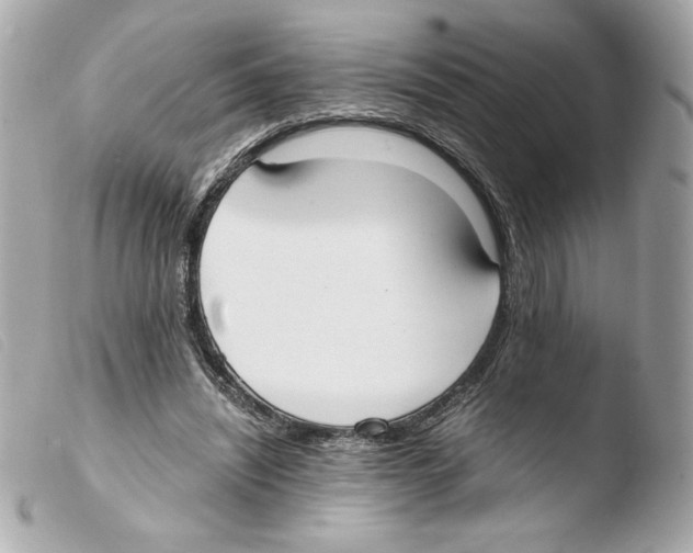 X0000103500444200810101050