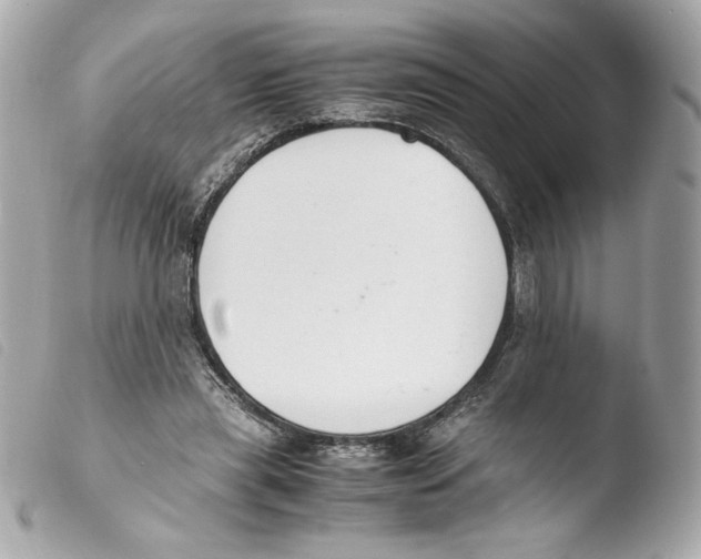 X0000103500445200810101050