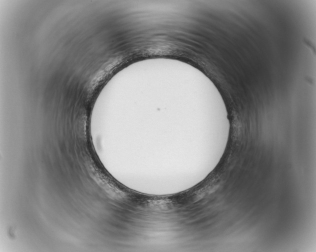 X0000103500446200810101050