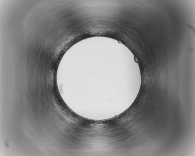 X0000103500448200810101050