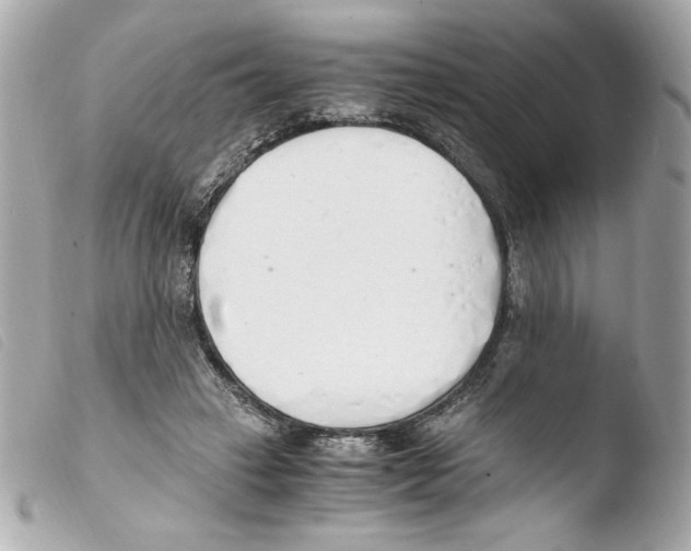 X0000103500449200810101050