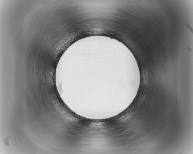 X0000103500450200810101050