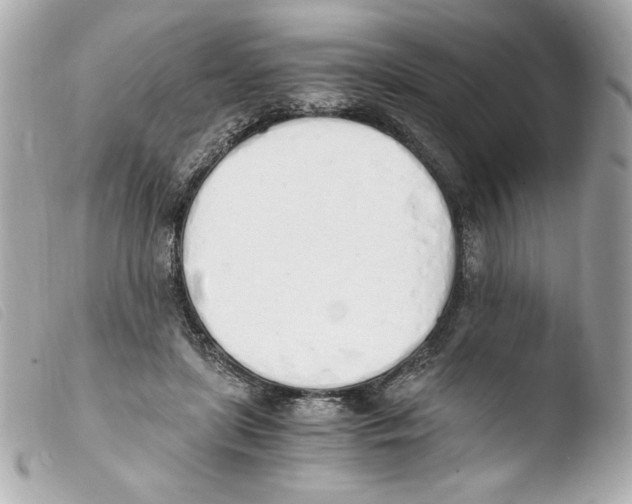 X0000103500451200810101050