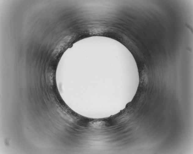 X0000103500452200810101050