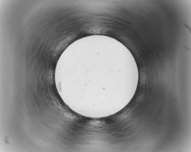 X0000103500453200810101050