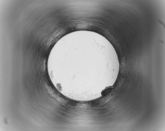 X0000103500454200810101050