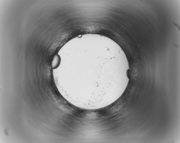 X0000103500456200810101050