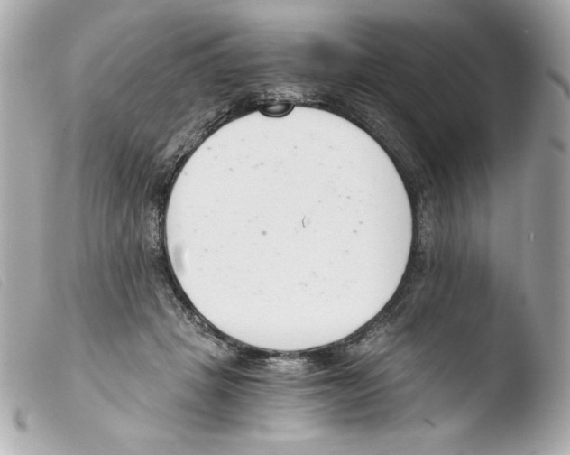 X0000103500457200810101050