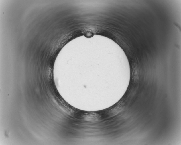 X0000103500459200810101050