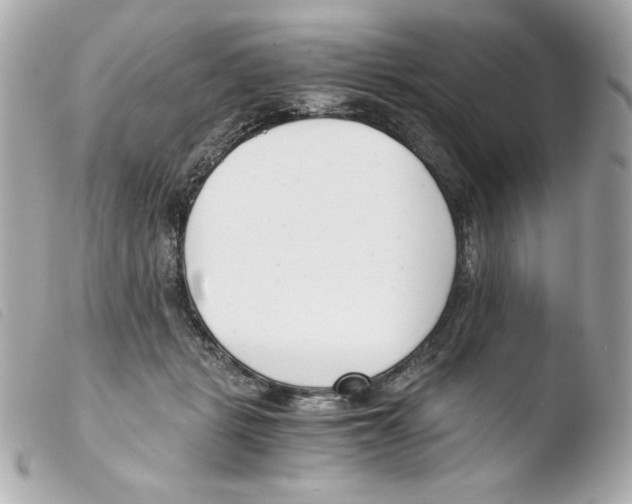 X0000103500461200810101050