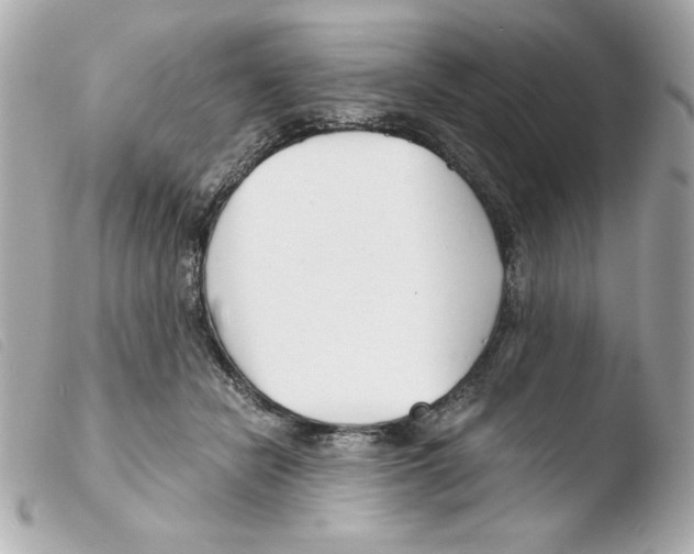 X0000103500462200810101050