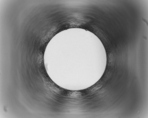 X0000103500463200810101050