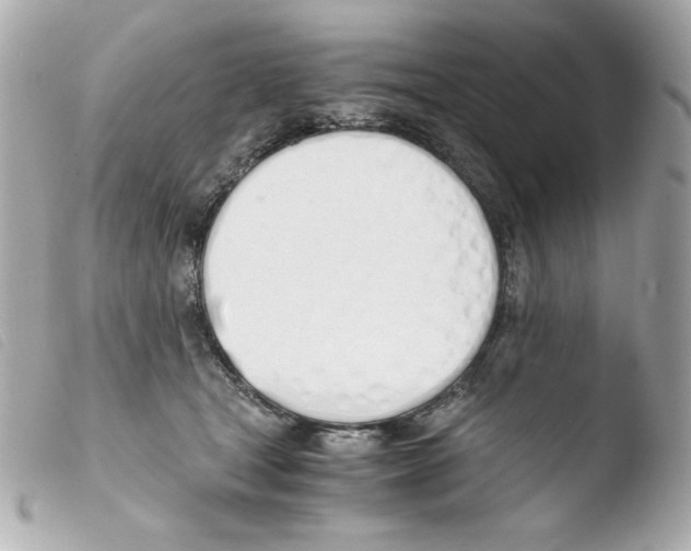 X0000103500465200810101050