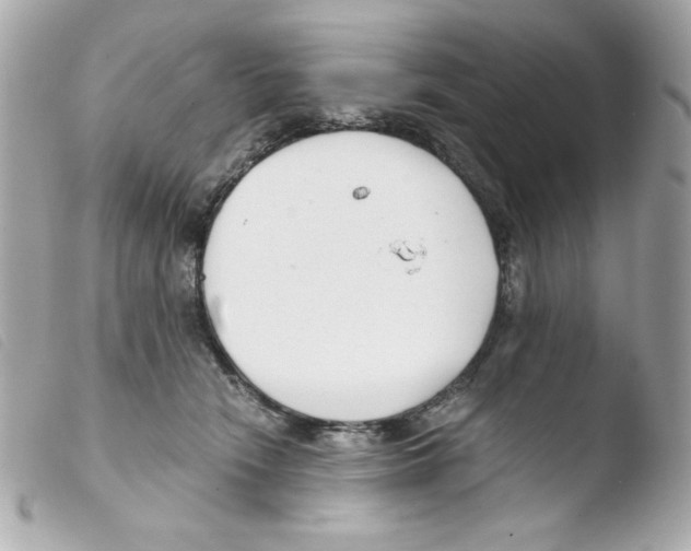 X0000103500466200810101050