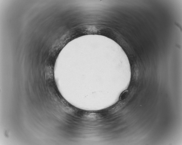 X0000103500467200810101050