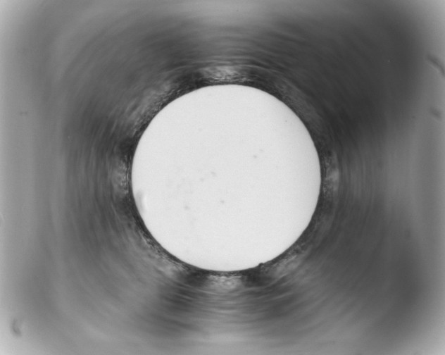 X0000103500469200810101050