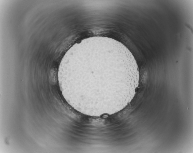 X0000103500471200810101050