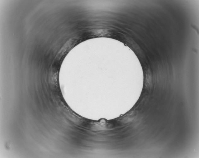 X0000103500473200810101050