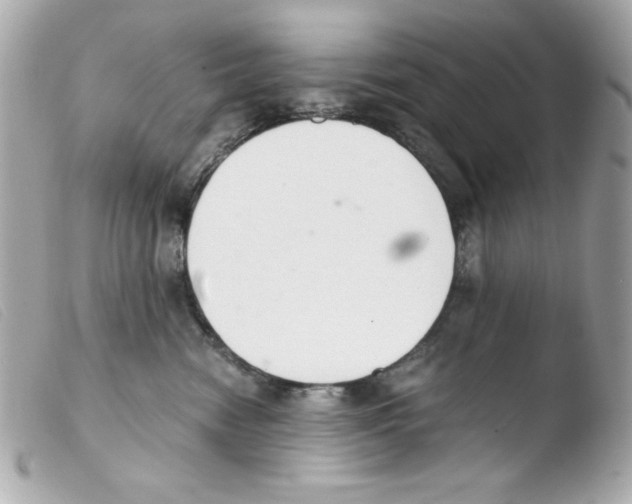 X0000103500474200810101050