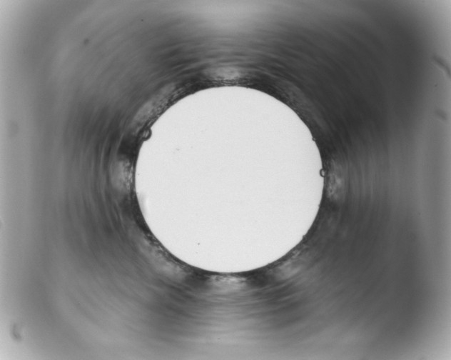 X0000103500476200810101050