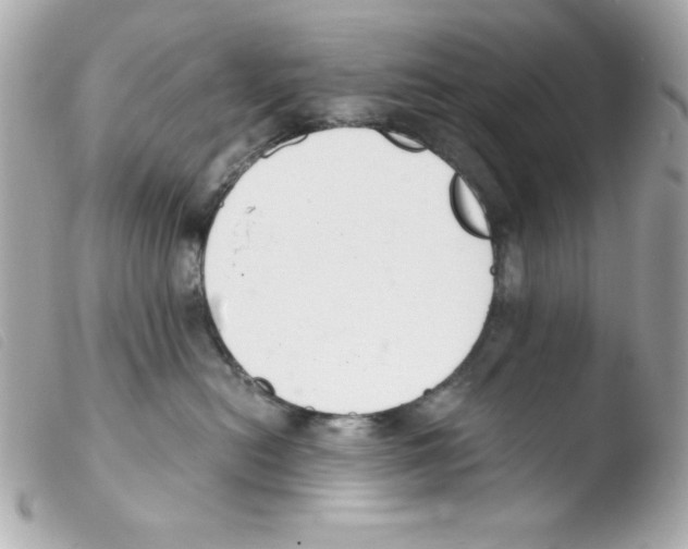 X0000103500478200810101050