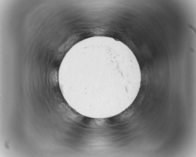 X0000103500479200810101050