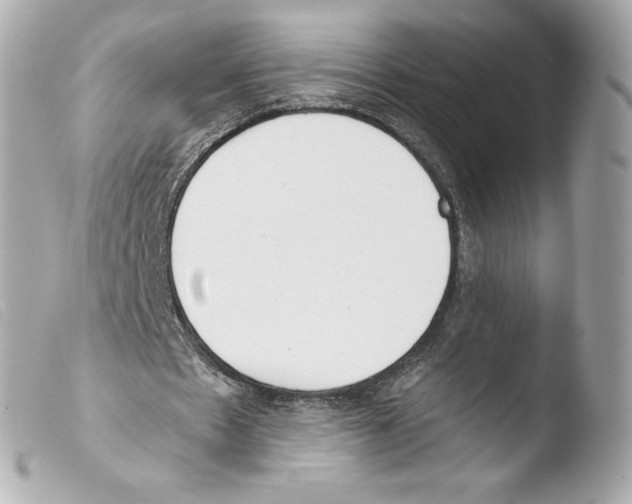 X0000103500481200810101050