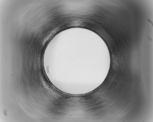 X0000103500482200810101050