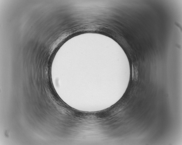 X0000103500483200810101050